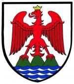 Nice_blason