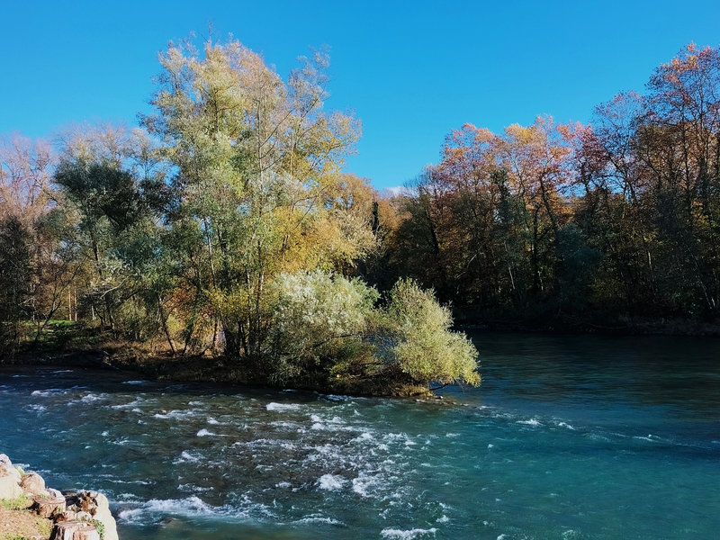Sauveterre-de-Béarn, gave et automne (64)