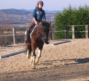 Ap_rem_dressage_et_cross_007