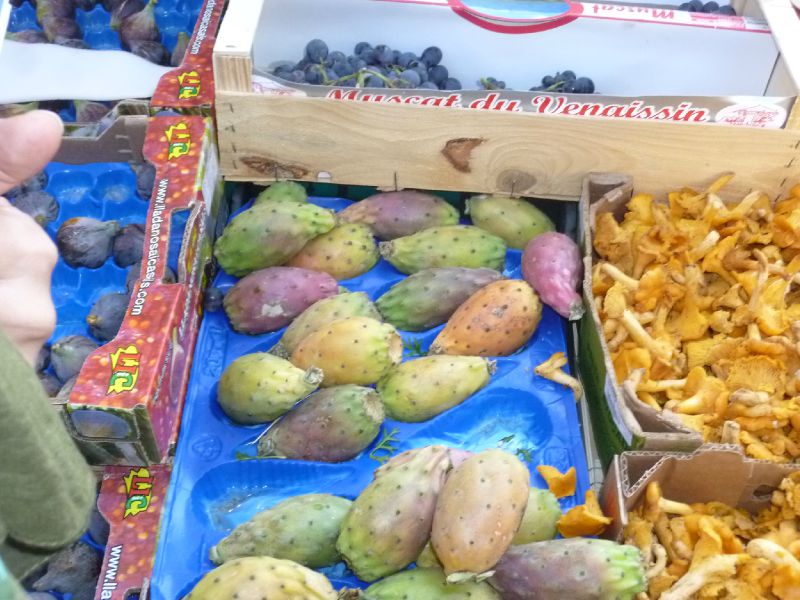 P1010698