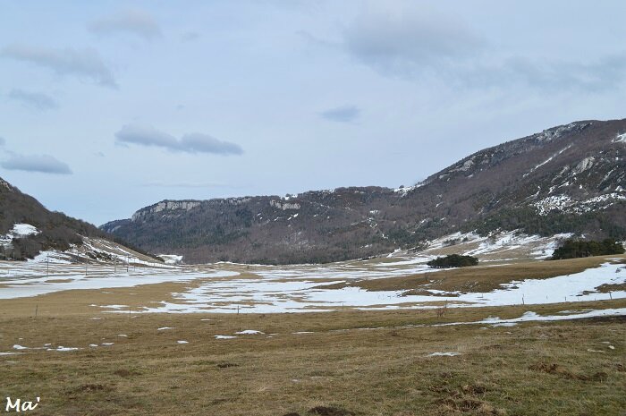 170128_Vacherie_1