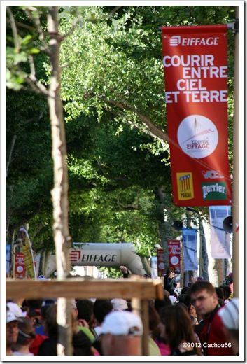 IMG_1754 IMG_1754
