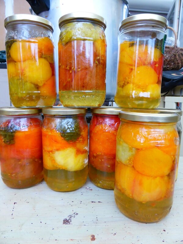 8-conserves tomates (3)