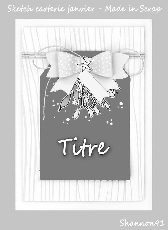 sketch carte MIS Janvier