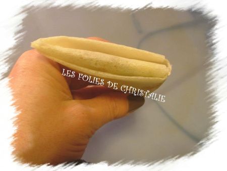 Pliage feuille de brick 14