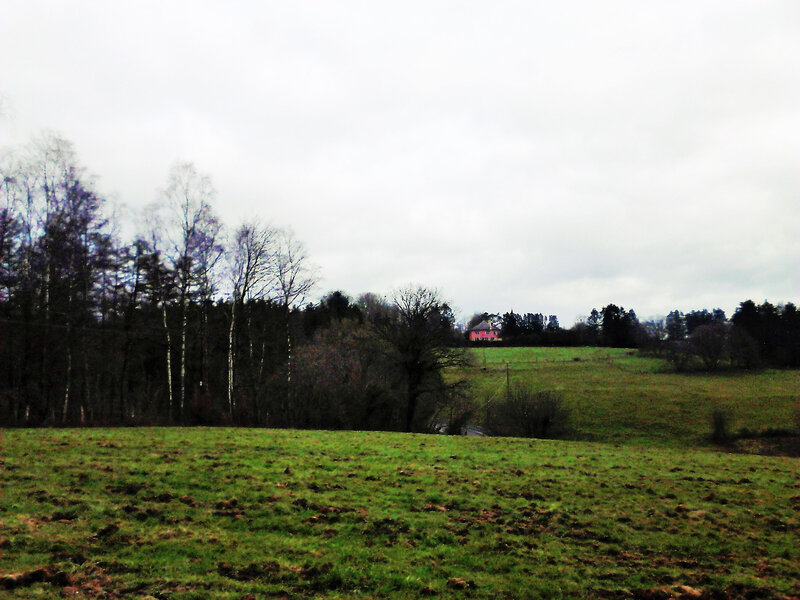 DSC_0007 (2)