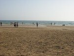 DSCN0347