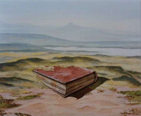 compr_25_falaise_de_livre_61x50cm_1992