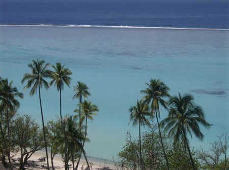 Octobre_2008_Moorea_212