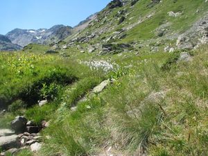 valloir_juillet_2009_022