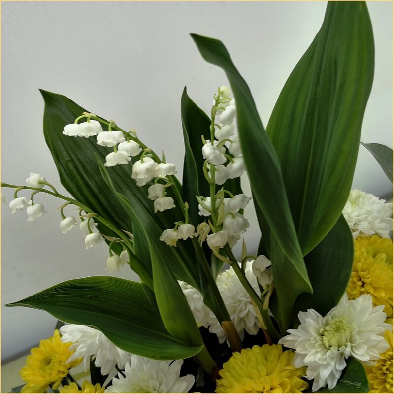 muguet_3