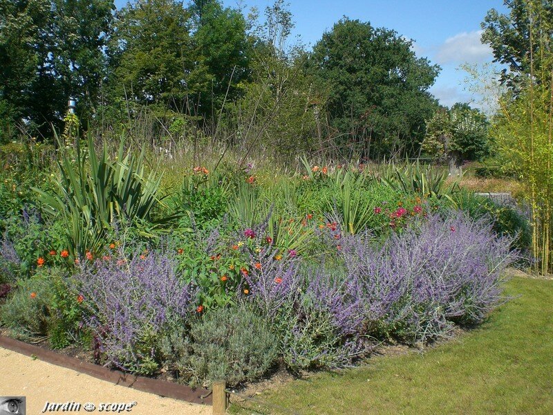 Mixed-border