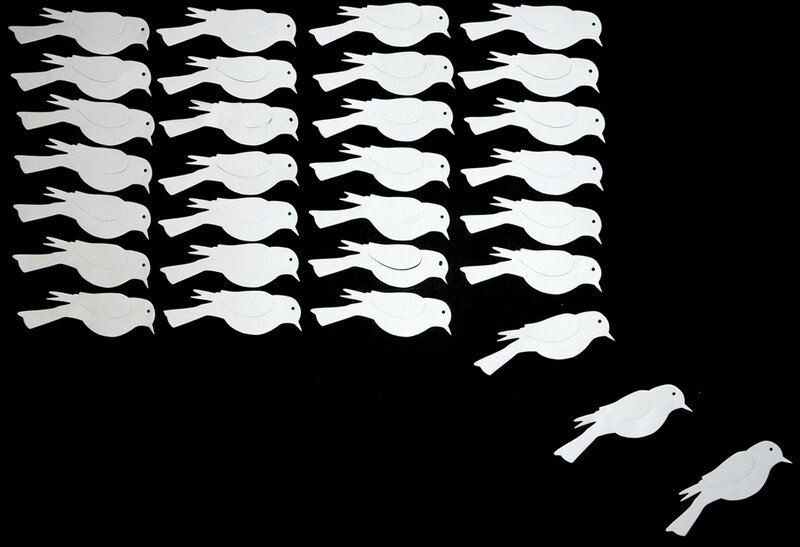 197_Noir et blanc_Nuées d'oiseaux (9)