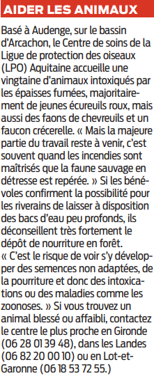 2022 07 24 SO au milieu4