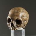 Crâne en <b>bois</b> laqué <b>blanc</b>. XVIIIe siècle