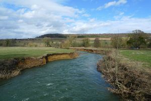 torgny (49)