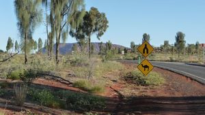20101228_01_Uluru1