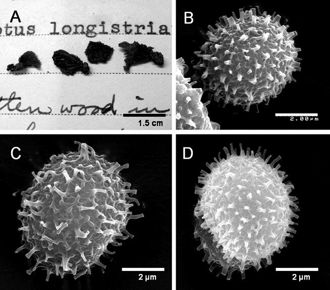 Fig 8