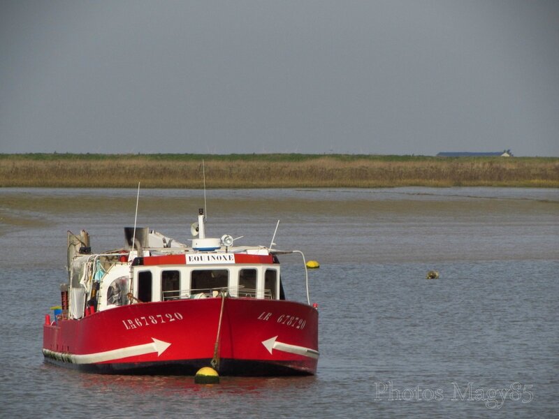 IMG_8744-001