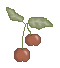 cerises 3