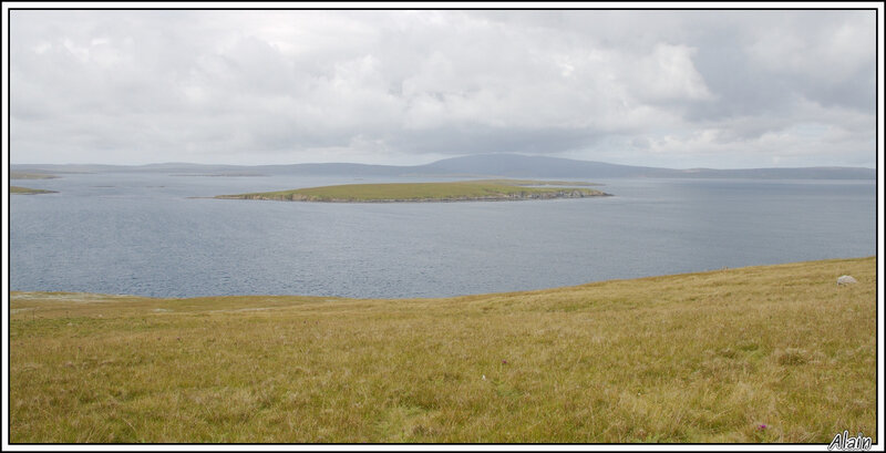 les Shetland...ce sont des îles...