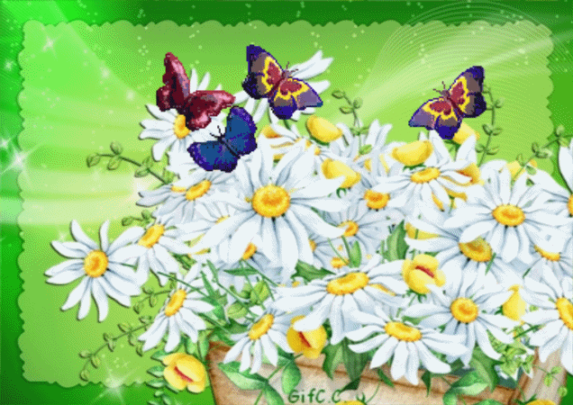 Papillons et marguerites 2