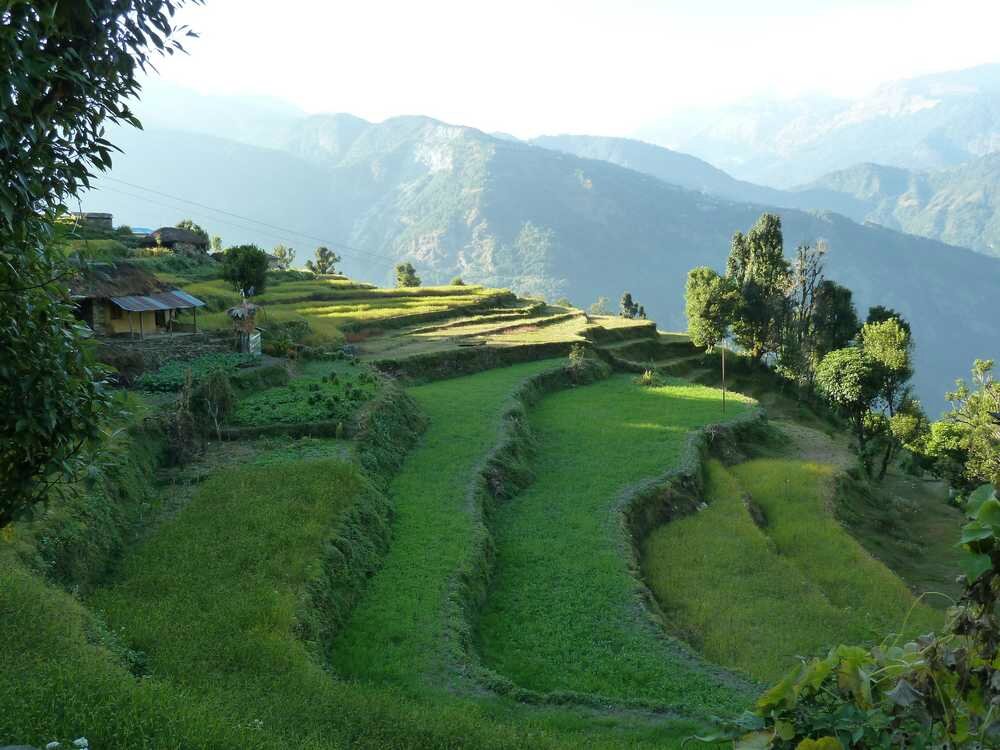P1070777