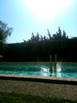 photo_1