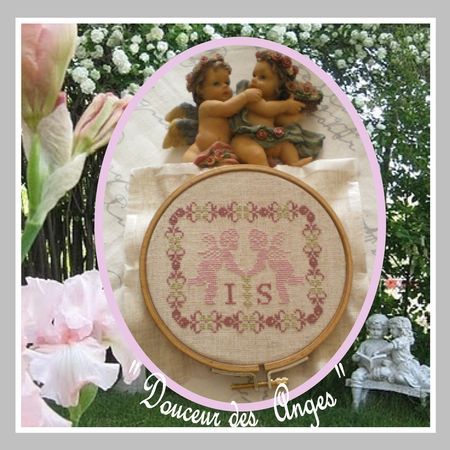 Douceur_des_Anges