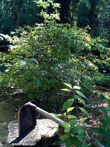 7384_Outil_des_marais