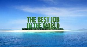 the_best_job_of_the_world_island_reef_job