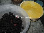 Petits gâteaux à la mûre sauvage 002