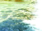 carpentras-2011-partage des eaux (24)