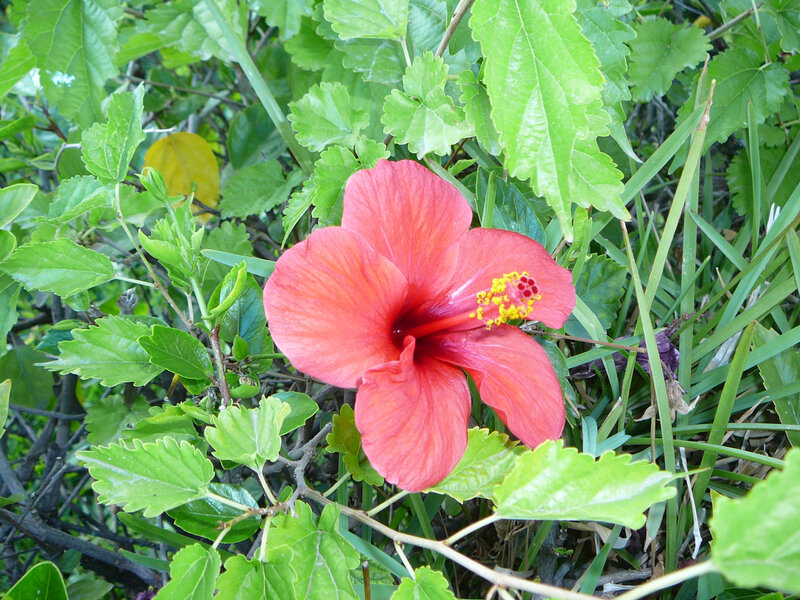 P1080205