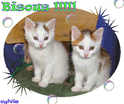 bisous5