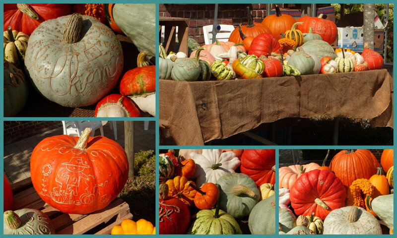 les balades fermier couleur