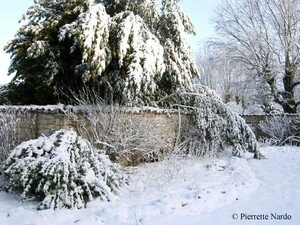 neige2007_laurier