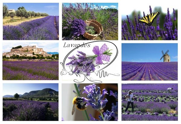 carte provence