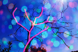 PIXL X 2ème délire