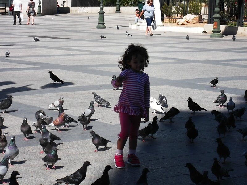 enfant aux pigeons