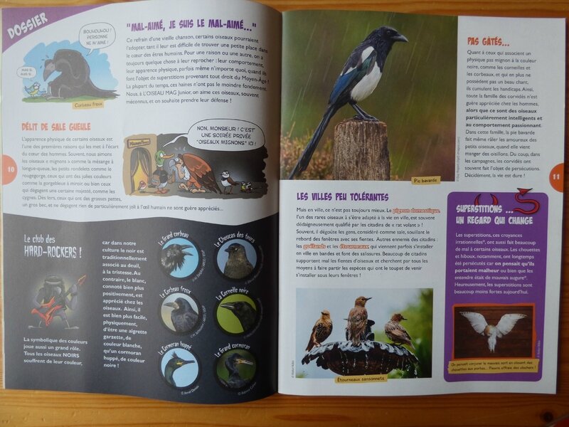 L'oiseau mag Jr (2)