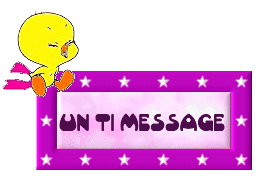 ti_message