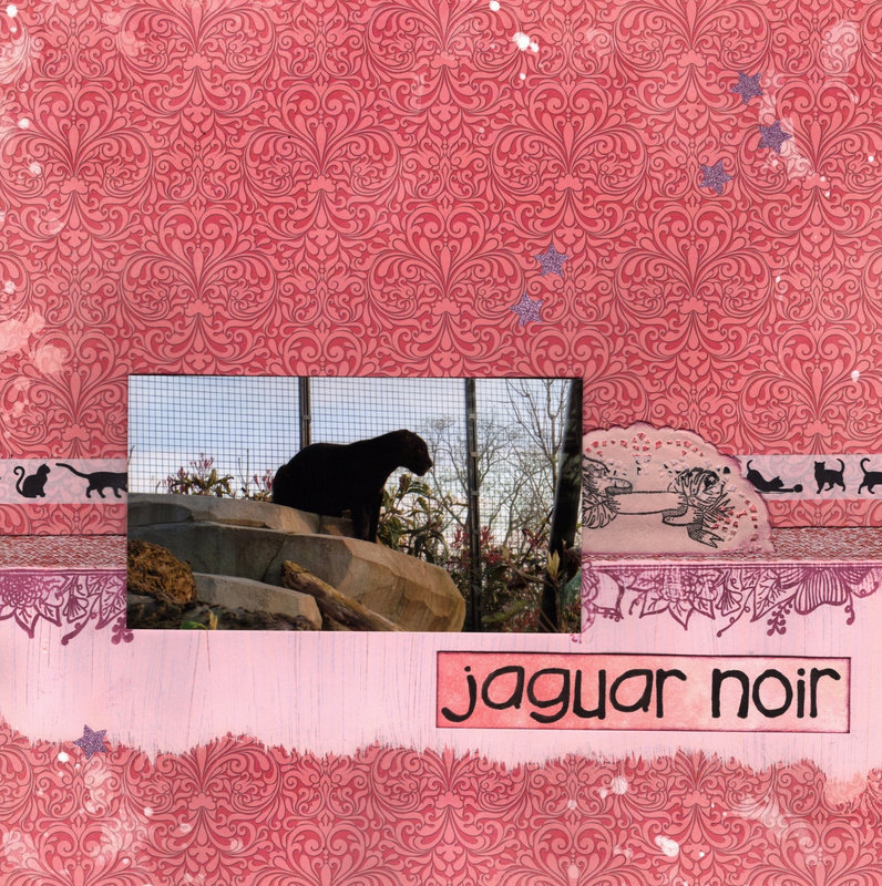 Vincennes2015-jaguar-noir