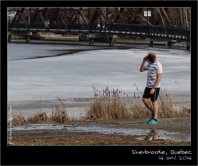 IMG_9921-naturelimages.com