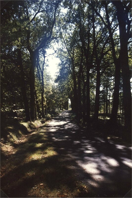 route de Borie-Petit venant des Jaures