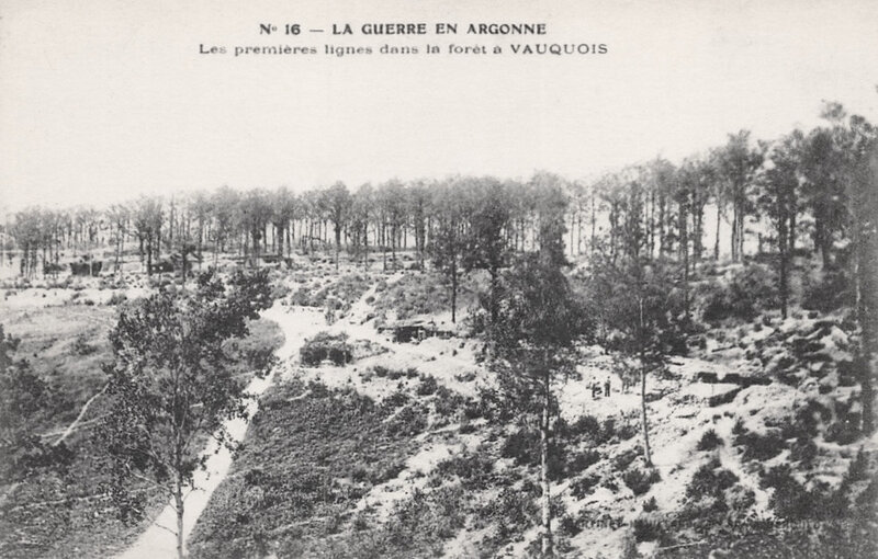 forêt Vauquois, premières lignes