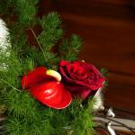 les fleurs chez moi (2)