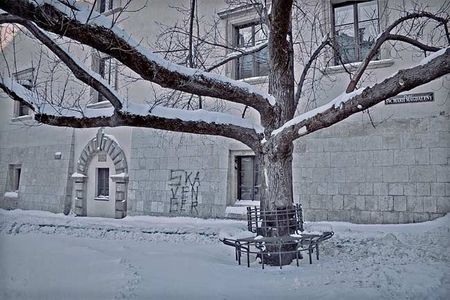 Ska_Venger_in_Krakow_Daaram_