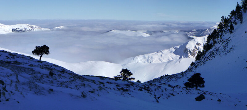 Panorama_sans_titre6_modifié-1