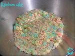1011 Rainbow cake 10